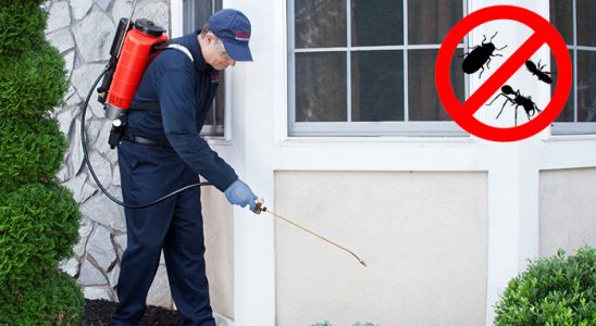 Beylikdüzü Fare İlaçlama böcek ilaçlama ve haşere kontrolü — ilaclama-tr.com